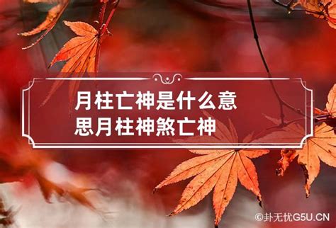 亡神流年|年柱亡神是什么意思 年柱在亡神代表什么